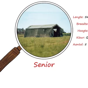 Senior